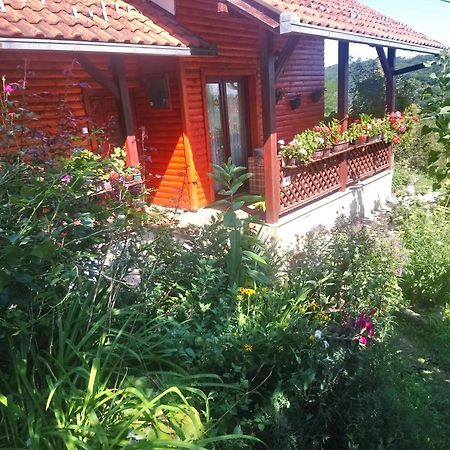 Guest House Little Heaven Užice Zewnętrze zdjęcie