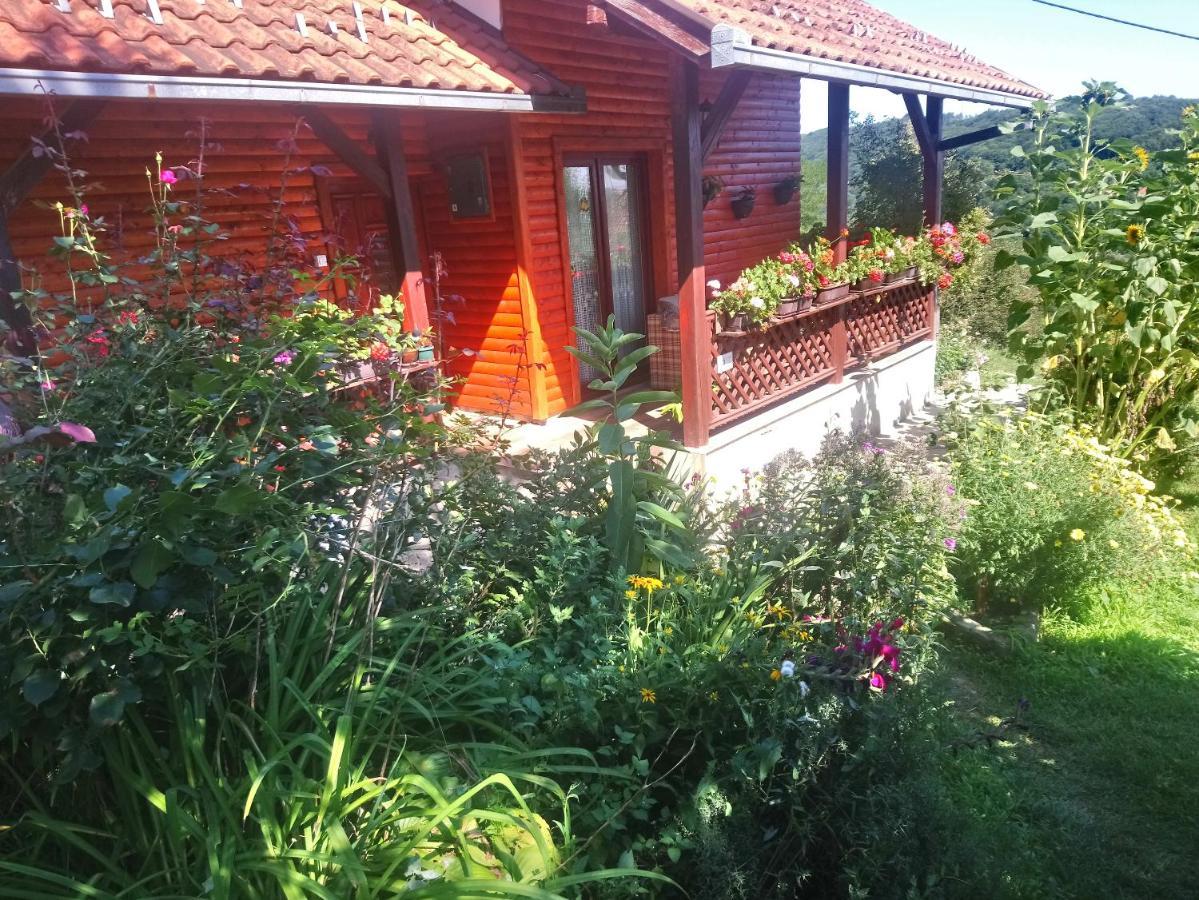 Guest House Little Heaven Užice Zewnętrze zdjęcie